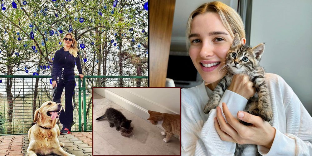 Sabancılar'ın yeni patili üyesi...