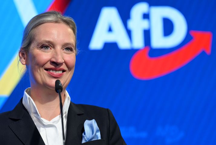 Alice Weidel Başbakan adayı ama iktidara uzak, şimdilik