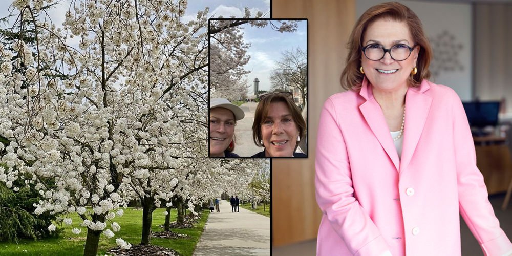 Sabancı, sakuraları görmeye gitti