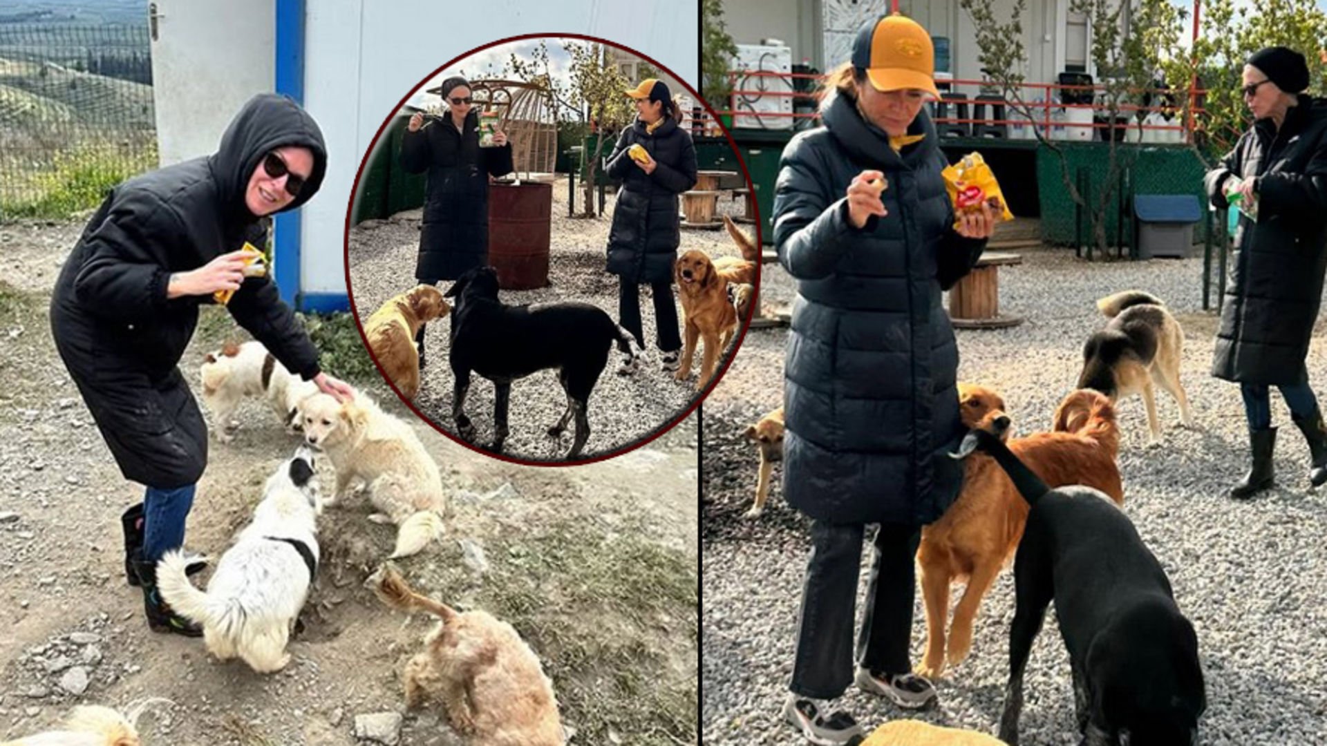 Minik dostları için yola çıktılar