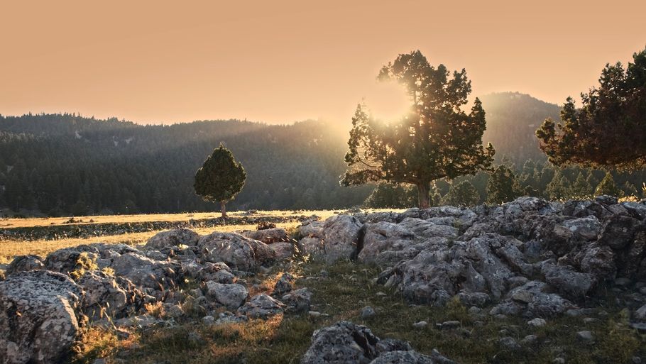 'Sweet Home Adana'