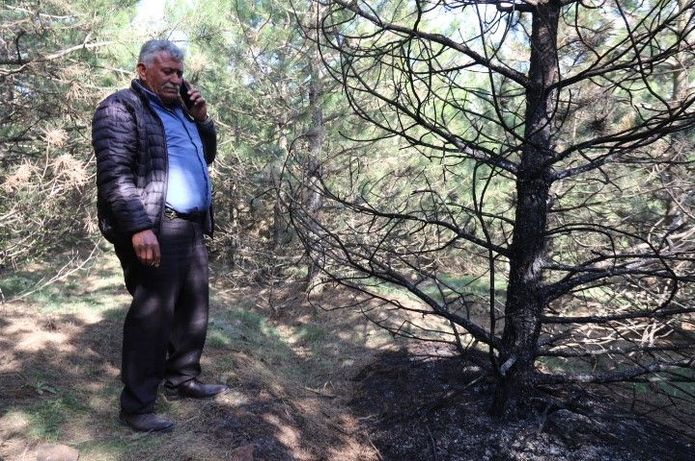 Kozkayı Mahalle Muhtarı Emin Solak, olaya ilişkin bilgi verdi.
