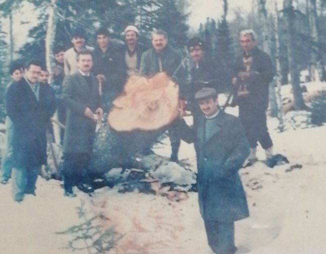 Orman köylülerin dönemin şartlarında yükte ağır pahada hafif tomrukla bir hatırası...