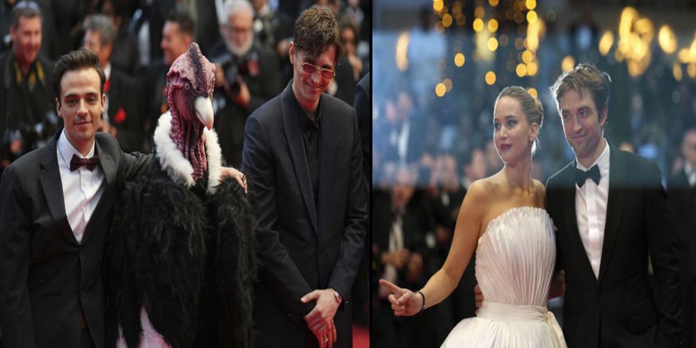 Cannes'da kuş sürprizi...