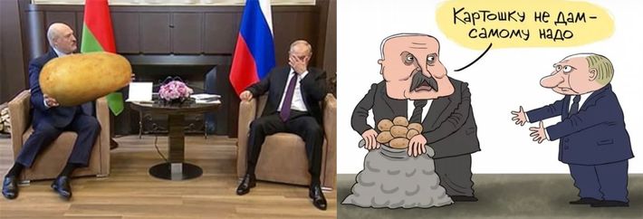 Putin ile Lukaşenko'nun patates alışverişi mizah konusu