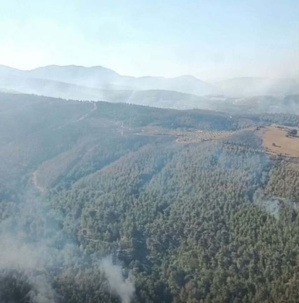 Manisa Akhisar'daki yangından yeni görüntü (DHA)