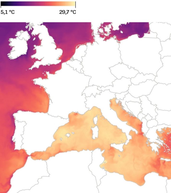 Sarı alan, Batı Akdeniz'deki aşırı sıcaklığı gösteriyor - kaynak: Copernicus