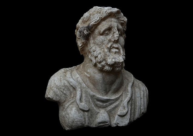 Sakallı erkek büstü