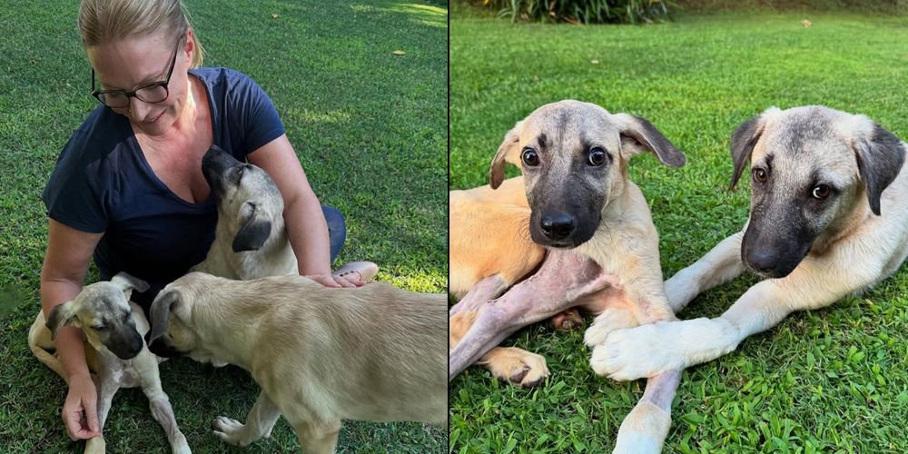 Koç, Mucize'yi sahiplendi...