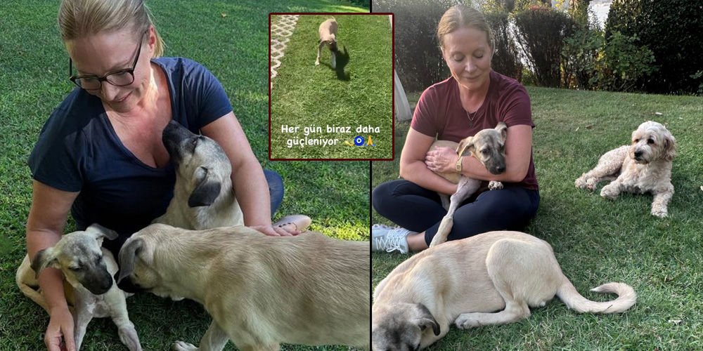 Mucize'nin son hali...