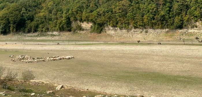 Kazandere Barajı (Fotoğraf: DHA)