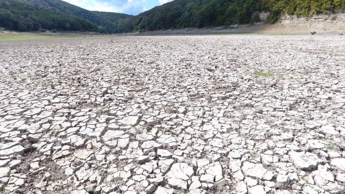 Kazandere Barajı (Fotoğraf: DHA)