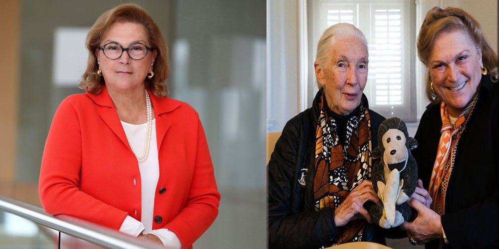 "Jane'nin umut veren sözlerini hatırlamalıyız"