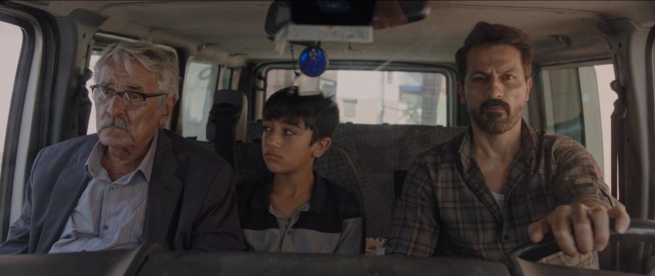 Kesilmiş Bir Ağaç Gibi