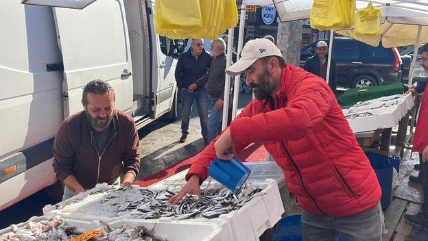 Hamsi Fiyatları Hızla Yükseliyor! Sezona Kötü Başlangıç: Bir Haftada Yüzde 100’den Fazla Arttı, Durum Ne Olacak?