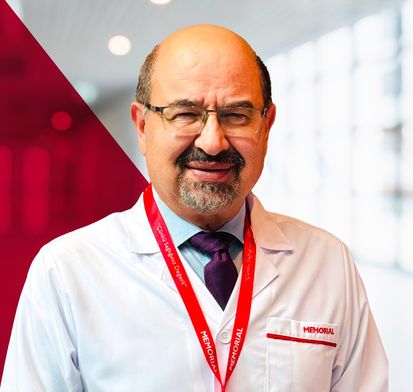 Prof. Dr. İbrahim Şahin