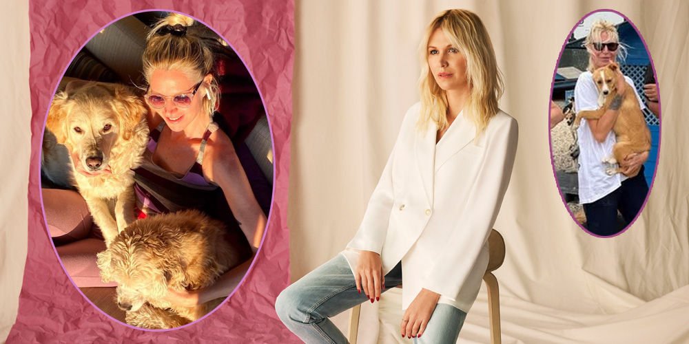 Sokak hayvanları için gazino açacak