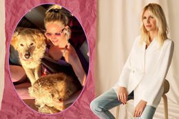 Sokak hayvanları için gazino açacak