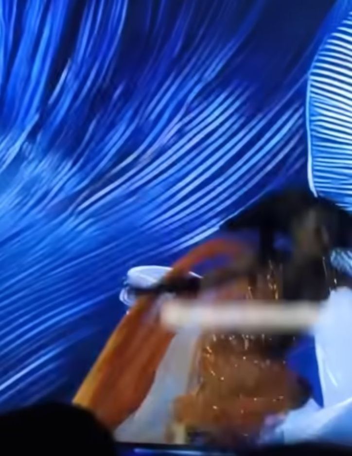 Jamaika Güzeli Gabrielle Henry'nin düşme anı