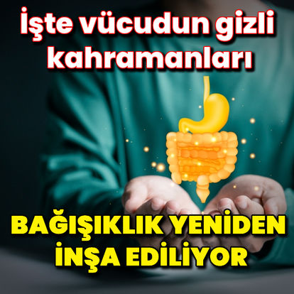 Bağışıklığı yeniden inşa eden mikro besinler