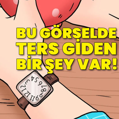 Bu görselde ters giden bir şey var!