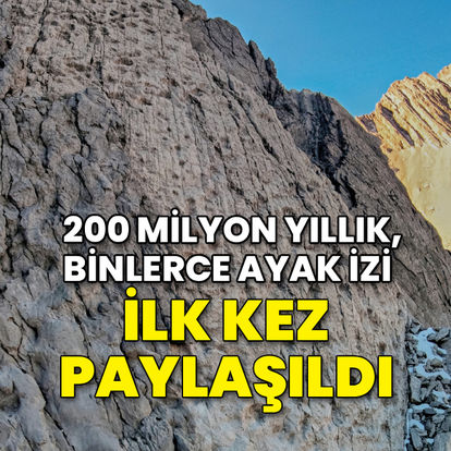 200 milyon yıllık, binlerce ayak izi! İlk kez paylaşıldı
