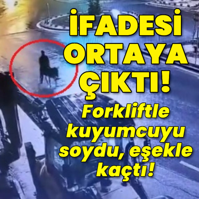 Eşekle kaçan hırsızın ifadesi ortaya çıktı!