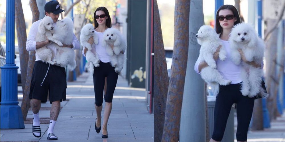 Köpekleriyle dolaştılar