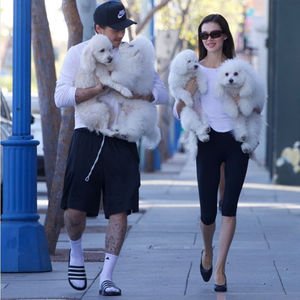 Köpekleriyle dolaştılar