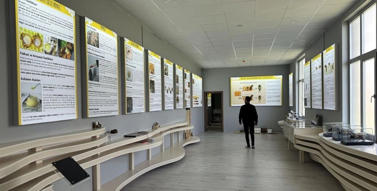 Kafkas Arı Müzesi'nde Ardahan'da başta dil uzunluğu ve soğuğa dayanıklılığı açısından Türkiye'de tek, dünyada ise en önemli 4 ırktan biri olan Kafkas arısı çok yönlü tanıtılıyor. Müzede aynı zamanda; arıların, doğanın devamlılığında ve balın insan sağlığındaki önemine de dikkat çekiliyor. 