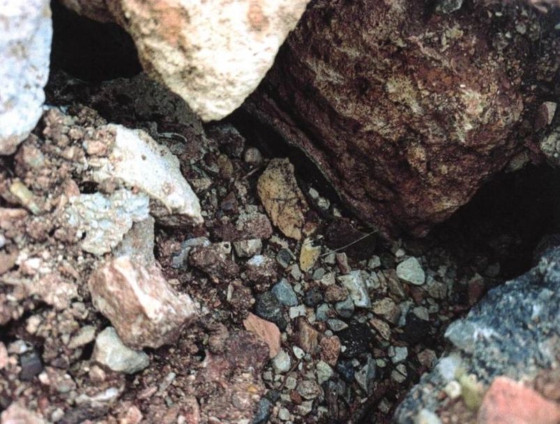 Sarnıcın içindeki sıva.