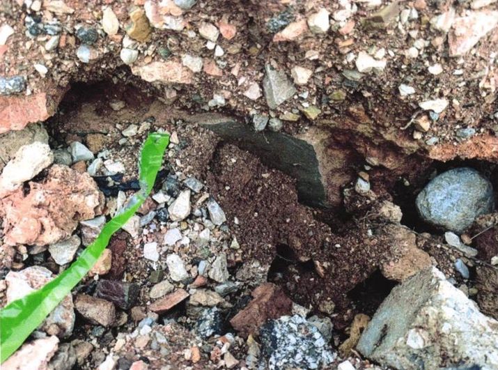 Sarnıcın içindeki sıva.