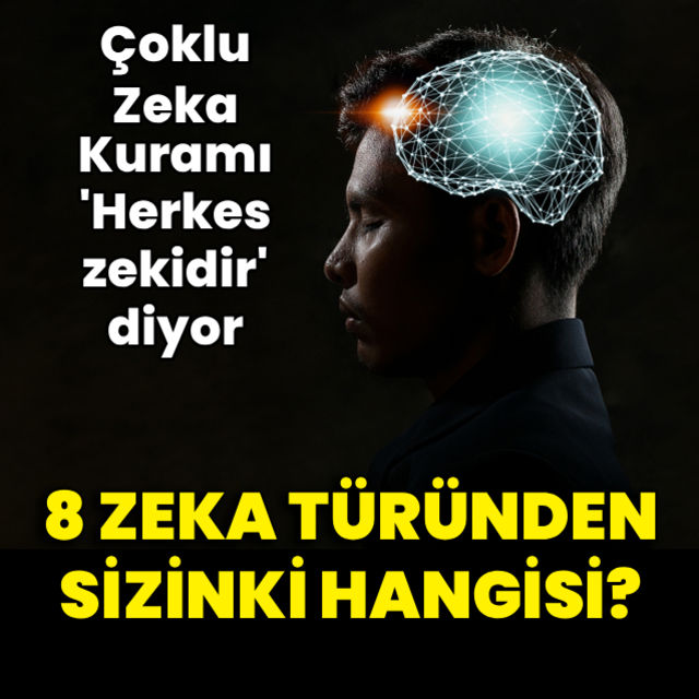 8 zekâ türünden sizinki hangisi?