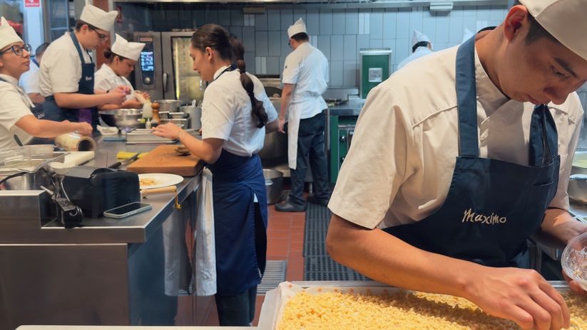 Maximo’daki şefler açık mutfakta özenle karınca yumurtalarını hazırlıyor.