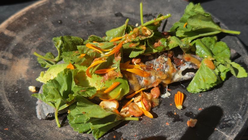 İki saat içinde sadece iki taco yiyebildim, ilki mantarlı ve görüntüsü lezzetinden daha iddialıydı.