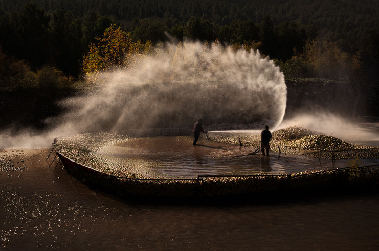 Gülsün İnan, “Momentum”