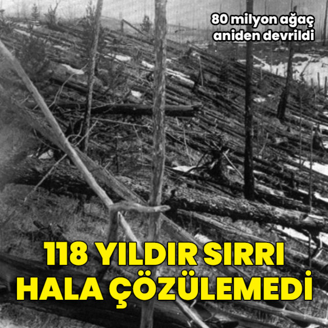 Bir ormanı yok eden büyük patlamanın sırrı hâlâ çözülemedi