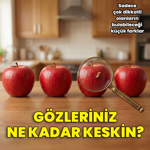Farklı olan dinozor hangisi?