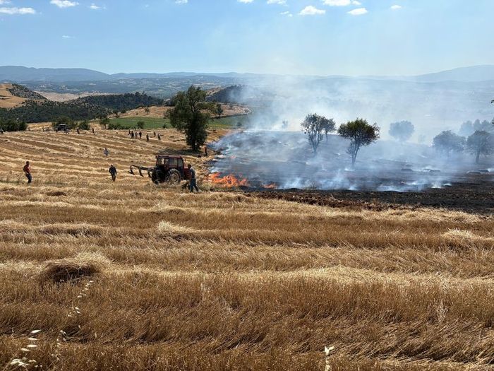 Fotoğraf: AA