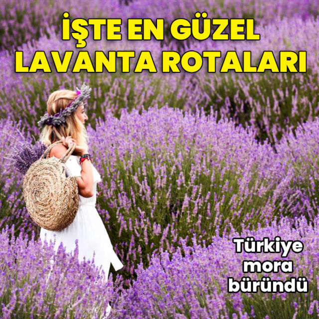 Türkiye mora büründü! İşte en güzel 8 lavanta rotası