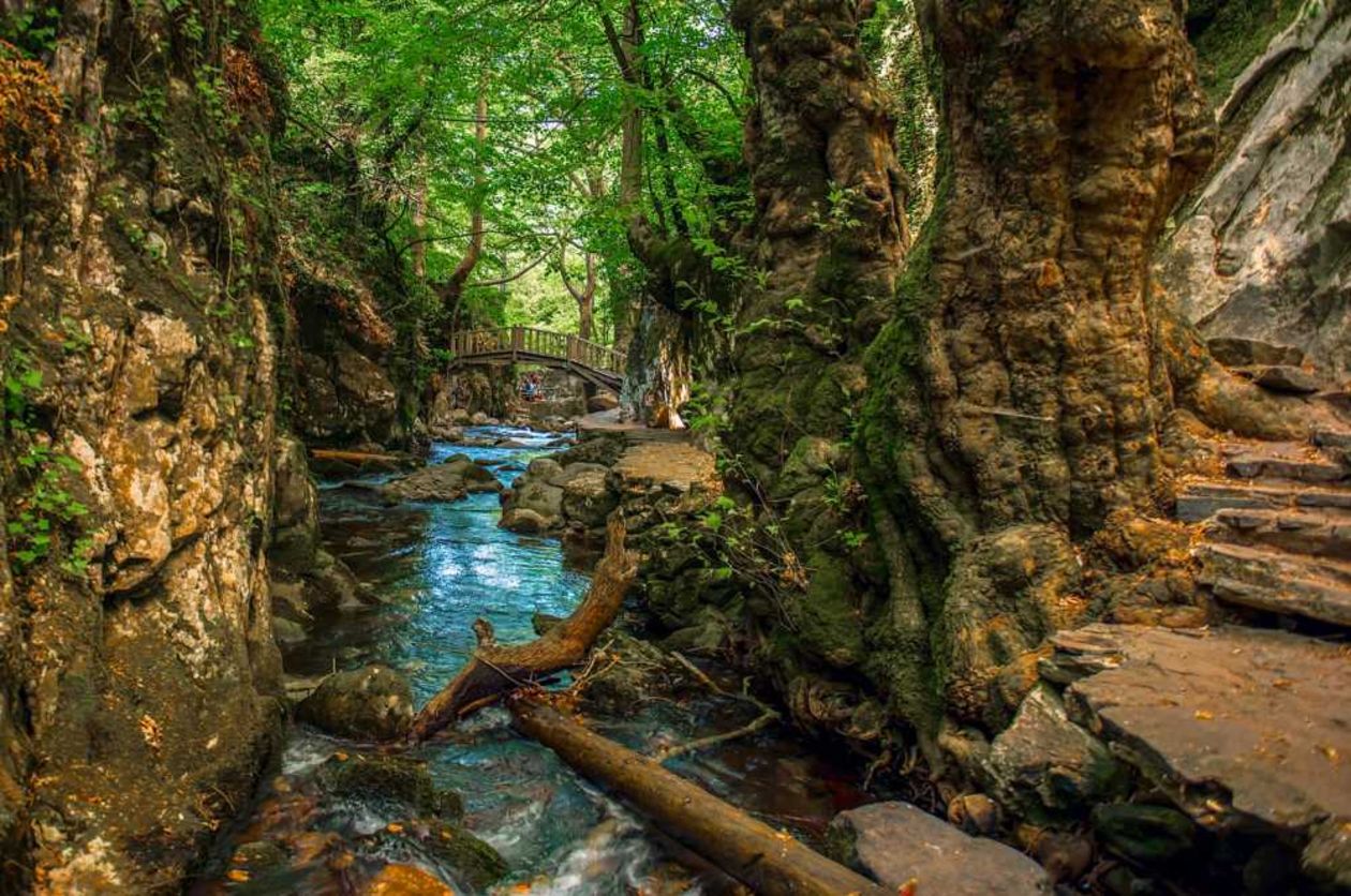 Kaz Dağları Millî Parkı