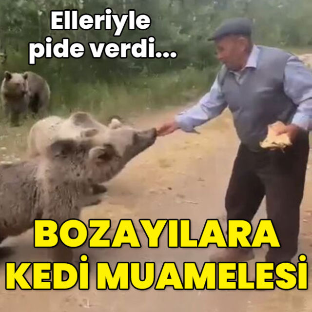 Bozayıya kedi muamelesi! Elleriyle pide verdi...