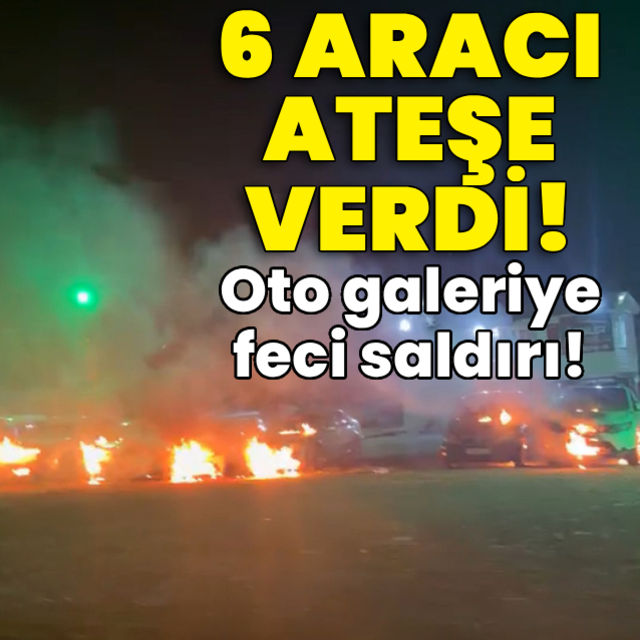 6 aracı kundakladı! Oto galeriye feci saldırı!