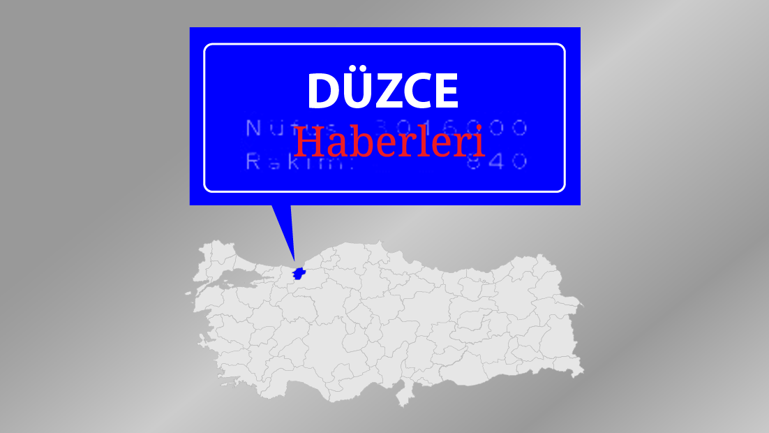 Düzce'de sis etkili oldu