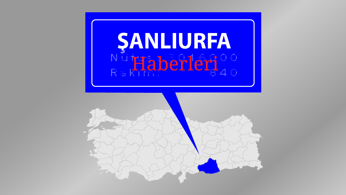 Türkiye'nin en büyük tarım işletmesinde buğday tohumları toprakla buluşuyor