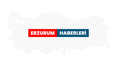 GÜNCELLEME - Erzurum'da bacasını temizlediği 5 katlı binanın çatısından düşen kişi öldü