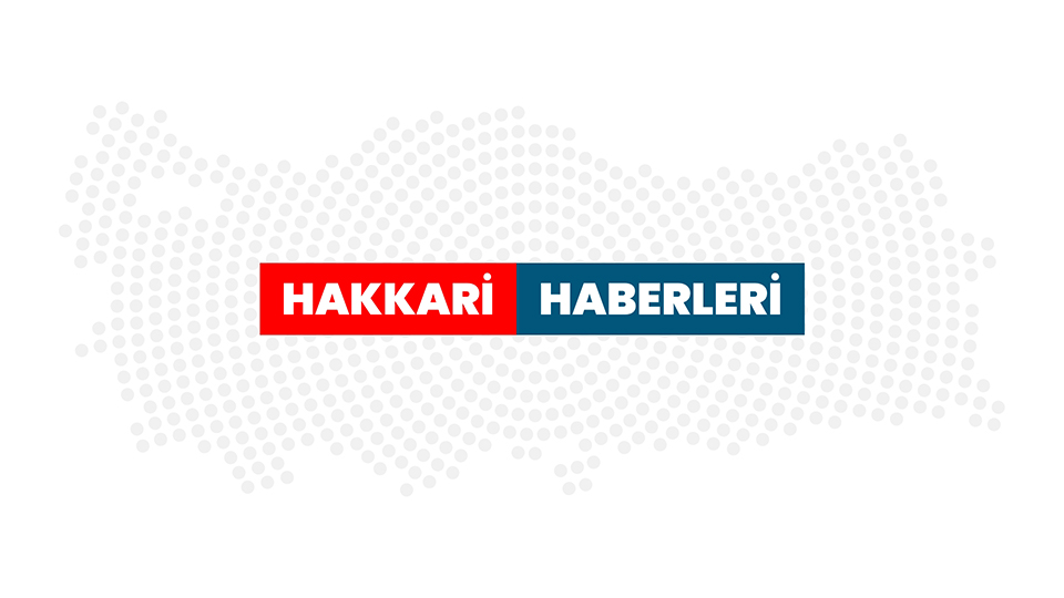Hakkari'de elektrik akımına kapılan kişi hayatını kaybetti