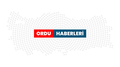 Ordu'da en çok kahverengi kokarca toplayan çocuklara bisiklet hediye edilecek