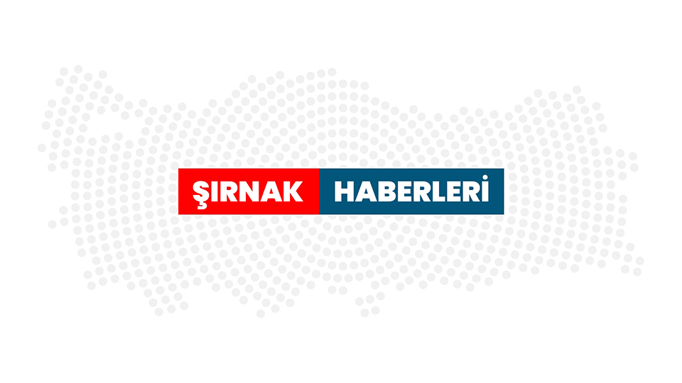 Şırnak´ta bir haftada terör operasyonlarında 2 tutuklama