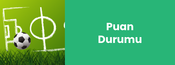 Puan Durumu